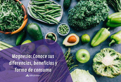 Magnesio: conoce sus diferencias beneficios y forma de consumo 
