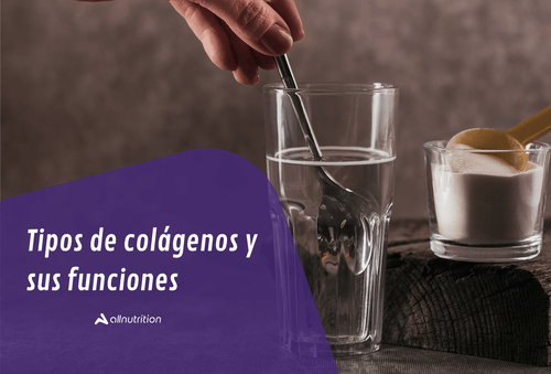 Tipos de Colágeno y sus funciones