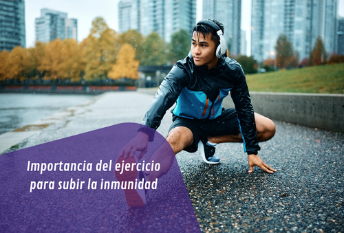 sistema inmune