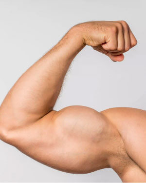 ¿Qué es el catabolismo muscular y como evitarlo?