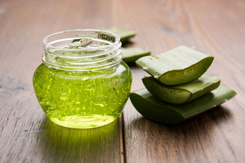 aloe vera