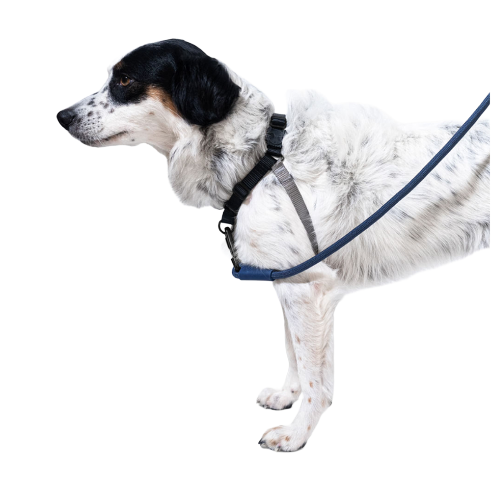 Arnés Para Perros Gotham Soft-Walk Harness - Zee.Dog